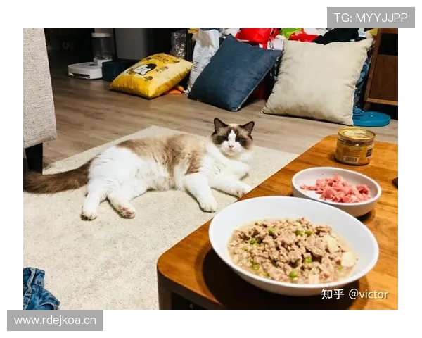 掌敏洁每天吃草训练12小时，结果奖金还不够买她家猫的进口粮？